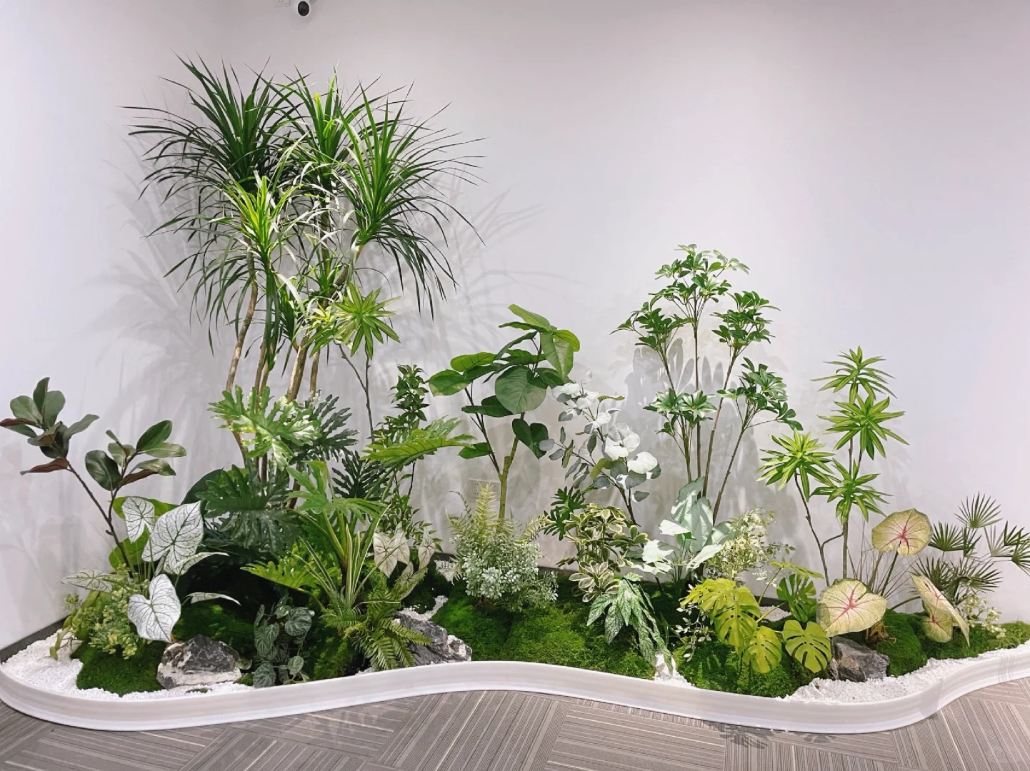 专业绿植出租服务，点亮宁波余姚每一处角落